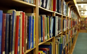 library books on a library shelf