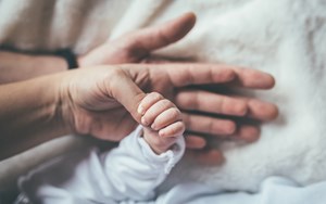 a baby and a parent holding hands